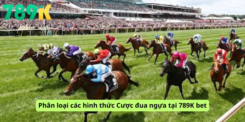 Phân loại các hình thức Cược đua ngựa tại 789K bet